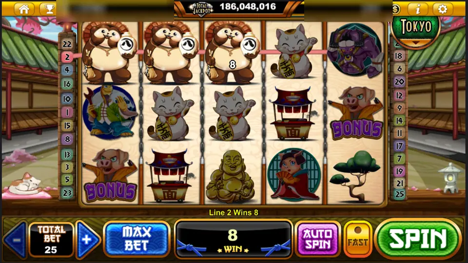 Pig Of Fury line 2 win of 8 on three raccoon dogs, total bet 25