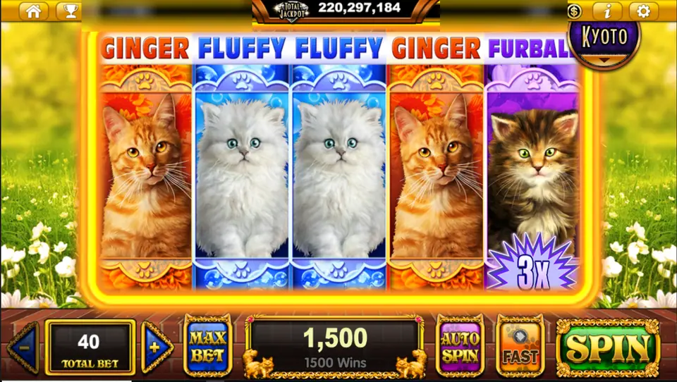 All five Pop Kittens reels covered by Ginger, Fluffy and Furball, with a 3x badge on reel 5