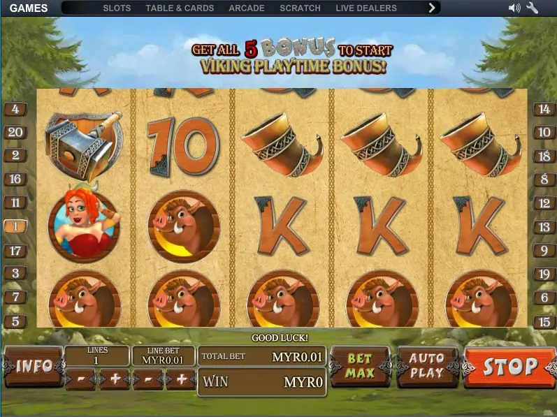 Viking Mania with a hammer on reel 1, boars across the bottom row and the Viking Playtime Bonus banner