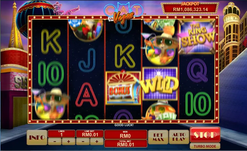 Cat in Vegas with a Bonus symbol and a Wild next to each other in the middle of the reels
