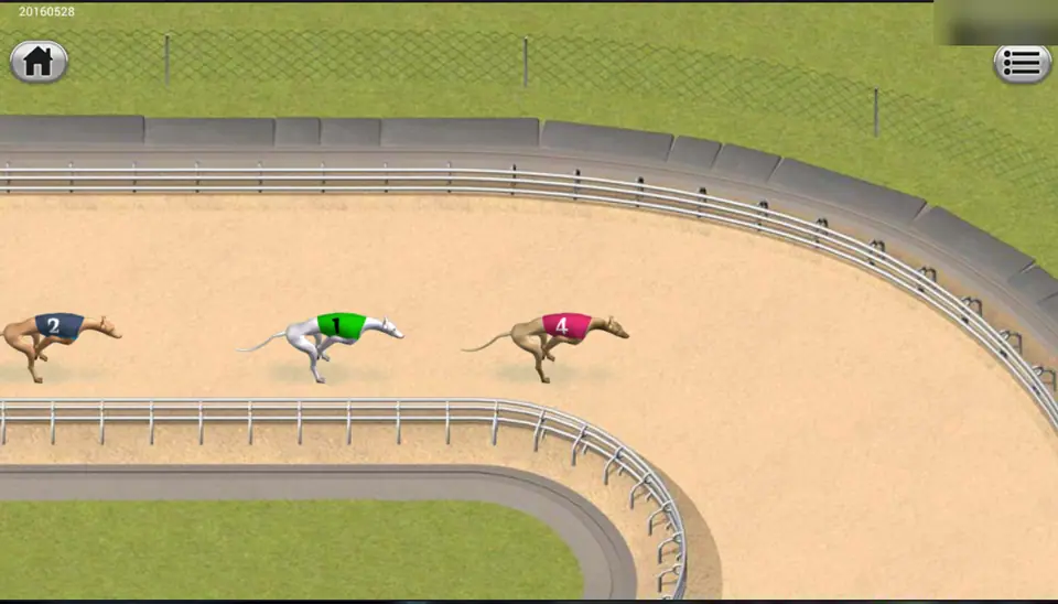 Greyhounds in numbered jackets running round a sand track with a white rail